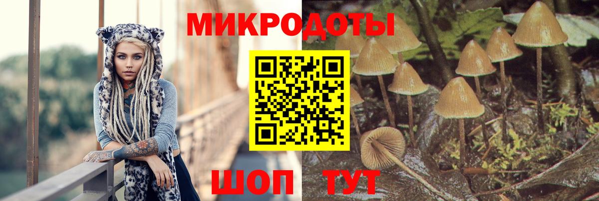 Берёзовский  Псилоцибиновые грибы GOLDEN TEACHER  Вход с VPN 